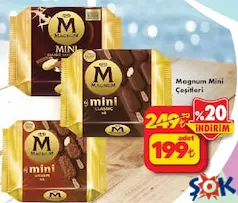 MAGNUM MİNİ DONDURMA ÇEŞİTLERİ 6'LI MAGNUM MİNİ DONDURMA ÇEŞİTLERİ 6'LI